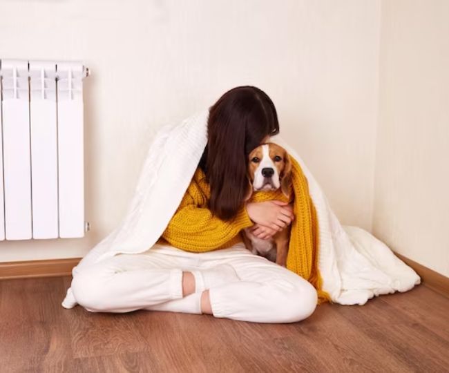 Diwali tips to calm pets